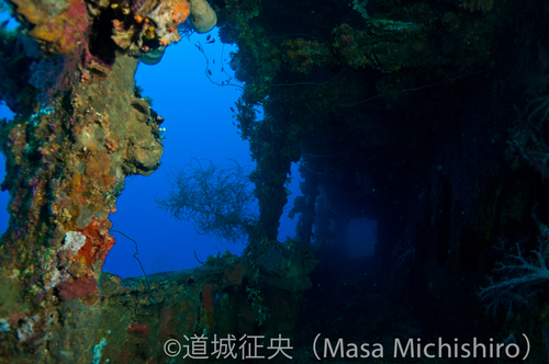 タイタニックのデッキ