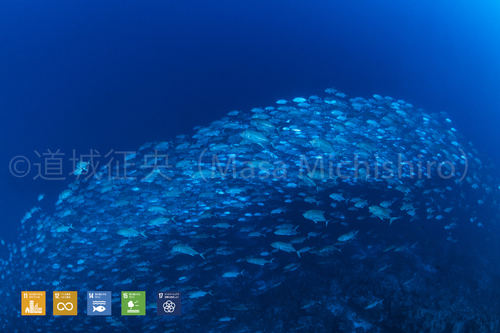 光る体色が魅力的