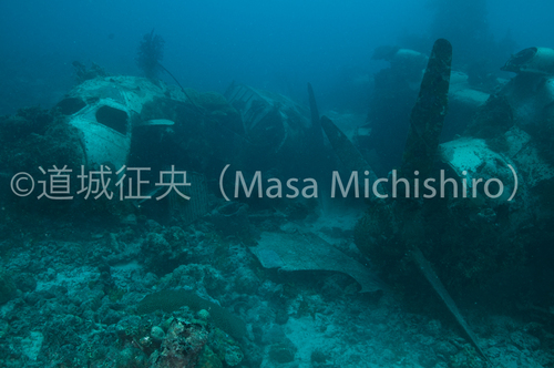 日本の水上飛行艇が沈むミクロネシア