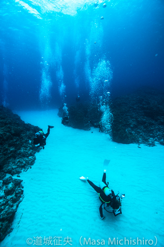 座間味の癒し系