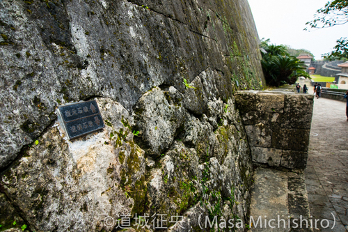 ウソにならないように