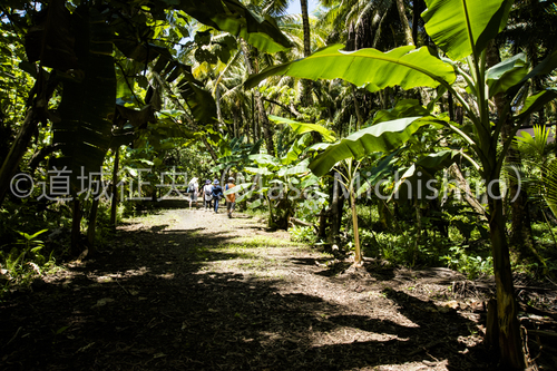 ポンペイのランガル島