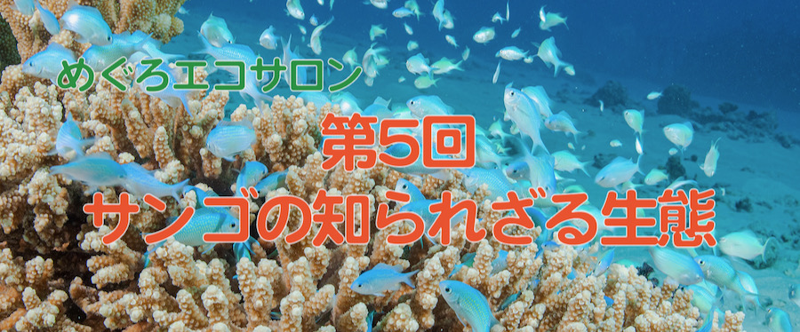 第5回『めぐろエコサロン』の案内