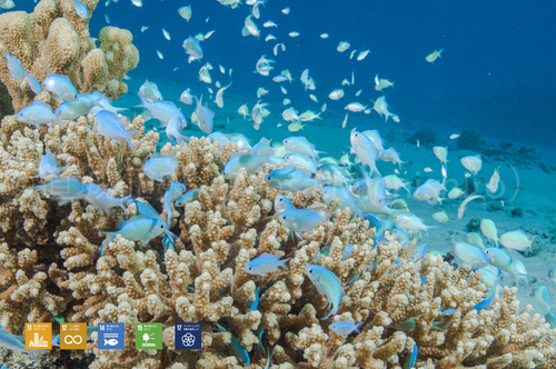 マリアナブルーのサイパン