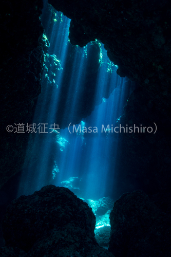 神秘的なオガン