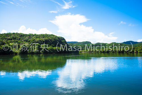 浦内川は西表島の動脈