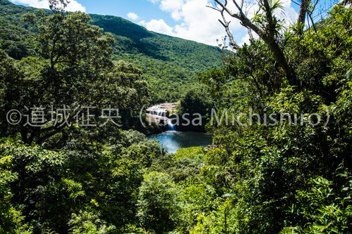 西表島の滝はホッとする？