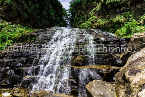 特徴的な西表島の滝