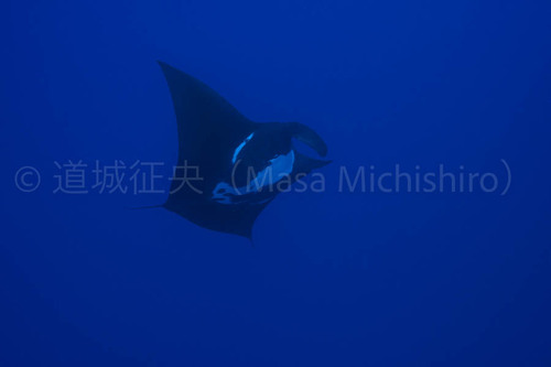 チューク諸島のポテンシャル