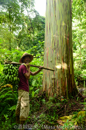 こんなところに日本人