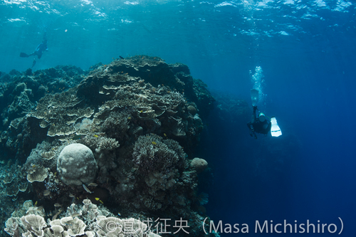バリカサグの地形