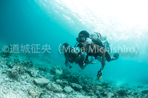 南洋の子供の海への恐怖