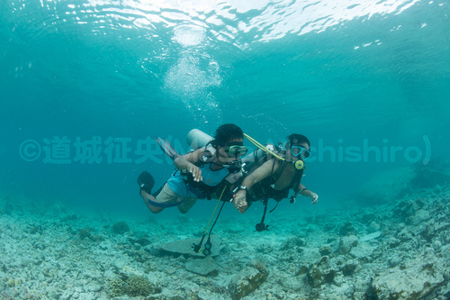 南国の子供は海嫌い