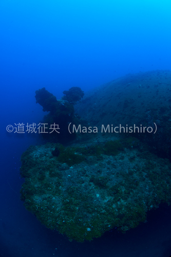 プロペラの大きさに圧倒される「りおで志ゃねいろ丸」