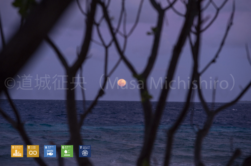 ジープ島から見た月