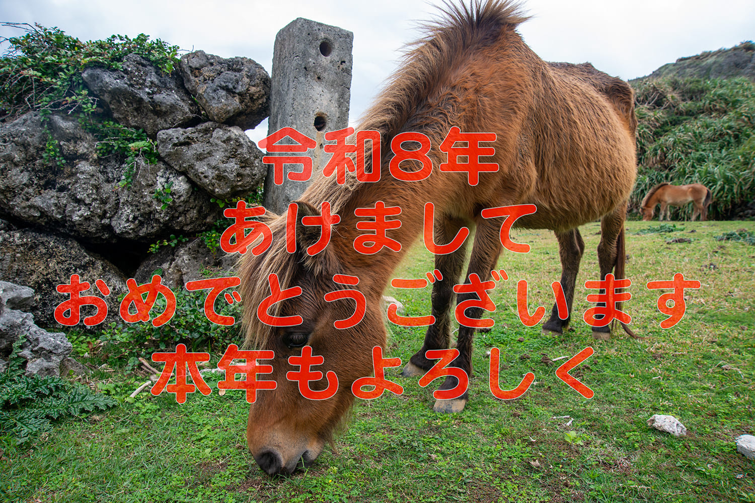 あけましておめでとうございます