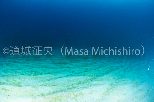 すべては人間中心【2018/1/14】