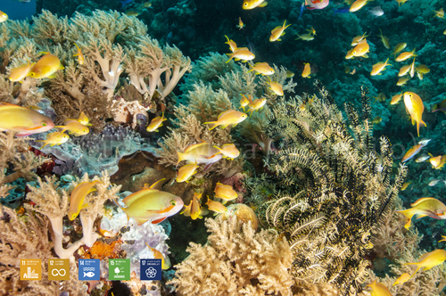 狭い世界のおもしろさ