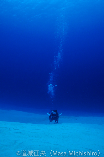 慶良間の海底砂漠