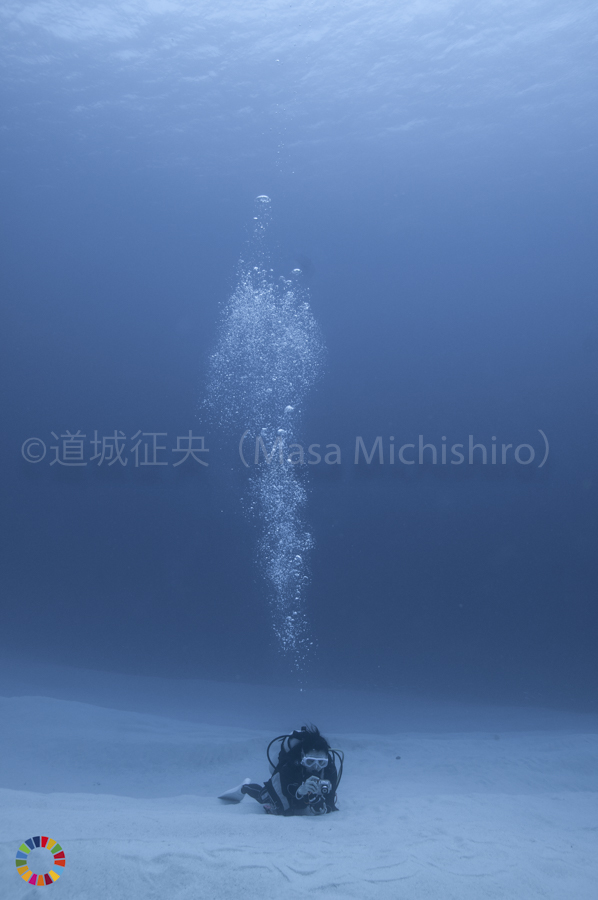 自然と功利主義【2021/2/12】