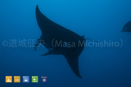 ステルス戦闘機