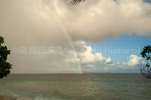 雨音と静寂の移り変わり
