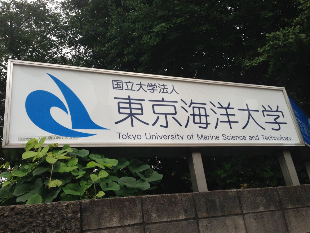 東京海洋大学「鯨類学入門」第２日目