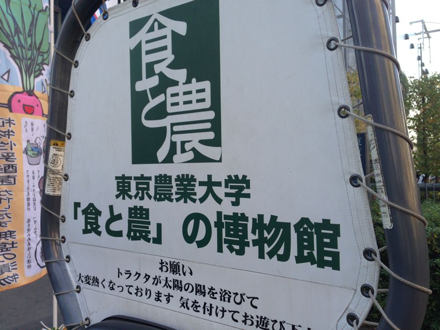 タロイモを知りに東京農大へ