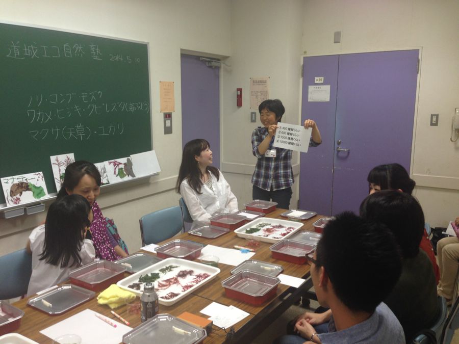 第39回「エコ・自然塾」終了