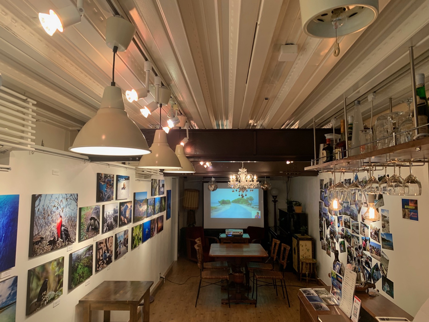 本日より写真展開催【2023/11/21】