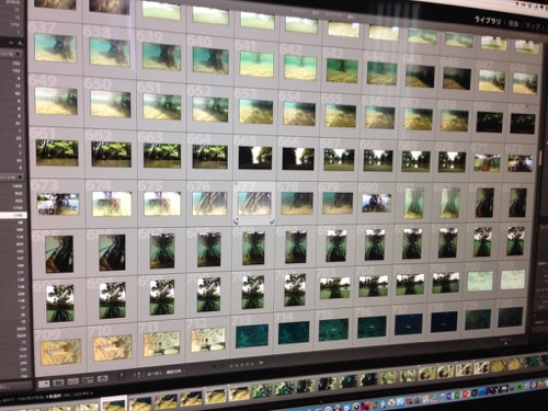 西表島へ行ってきました【2017/7/17】