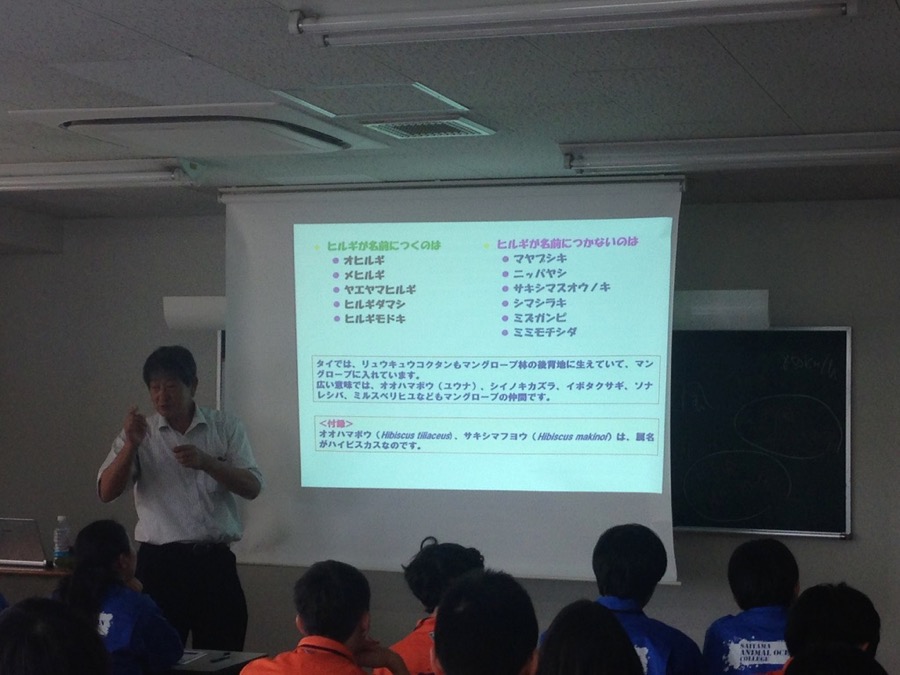 マングローブの話し【2018/11/26】