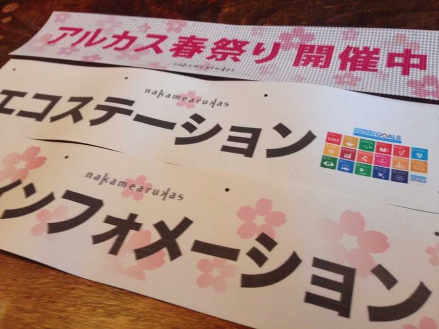 桜満開前に思うこと【2019/3/23】