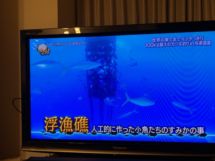 イッテQでパヤオ動画使っていただきました【2020/8/10】