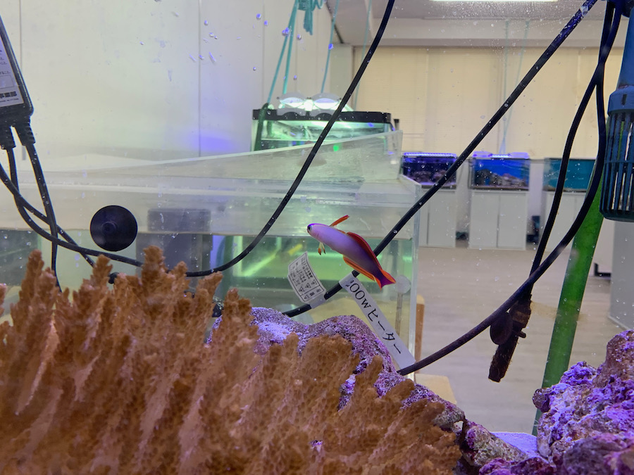 コロナ禍であってもオンライン至上主義はどうか？【2021/4/27】