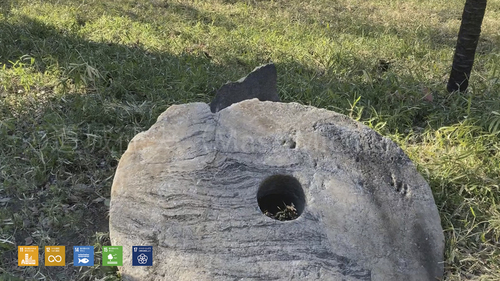 東京で感じられるミクロネシア［動画］