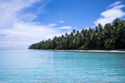 アンツ環礁の神秘