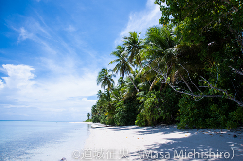 天国のようなアンツ環礁