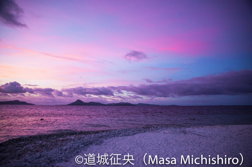 ピンク色の世界