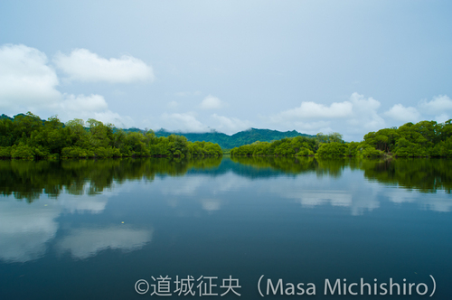 新緑色のコスラエ