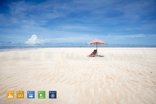 アンツ環礁の砂州