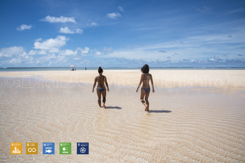 一粒一粒の砂が作り出す土地