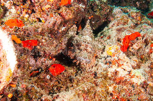 海には教材がたくさん