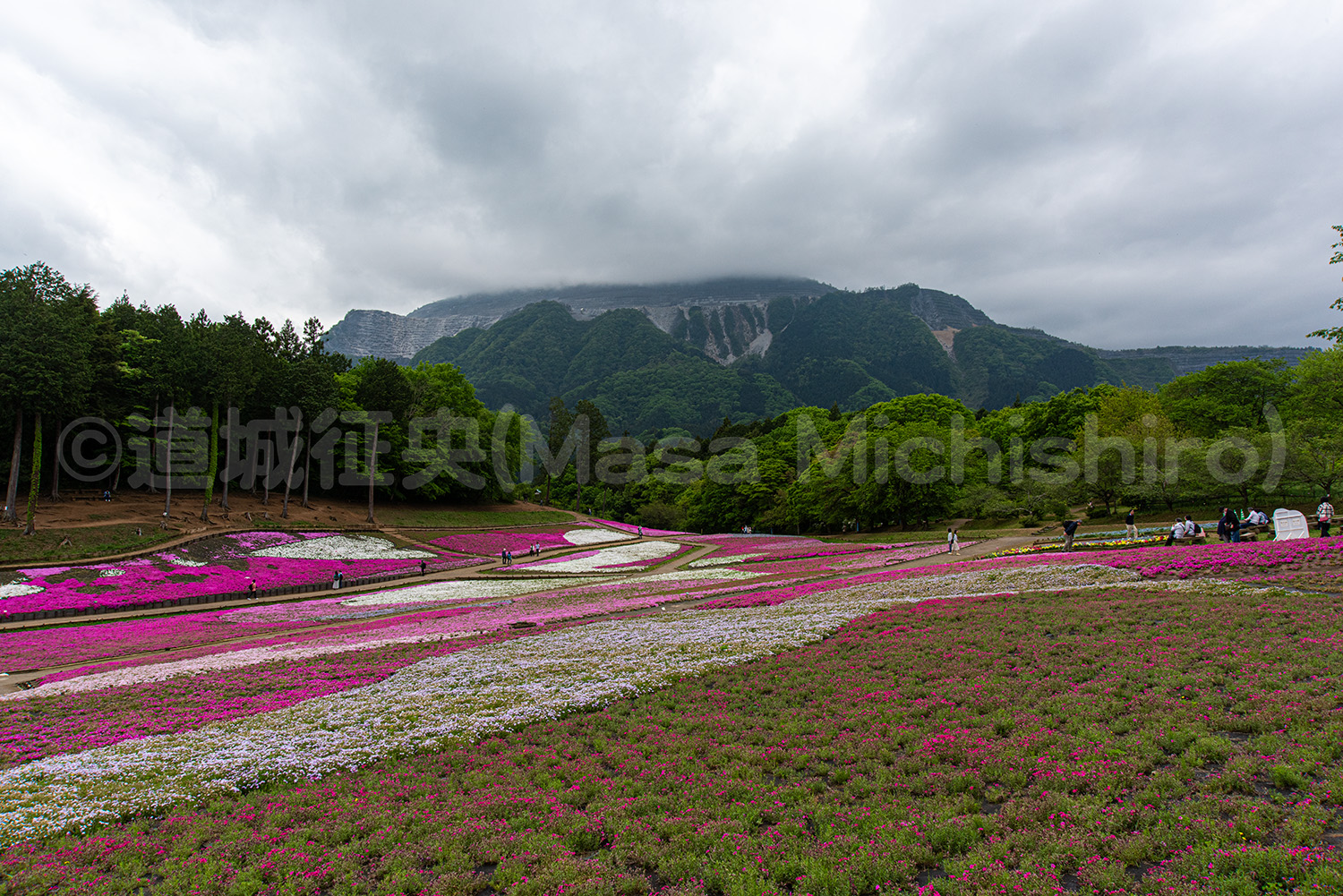 武甲山はサンゴ礁の行く末【2024/4/30】