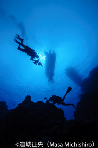 外国人写真派ダイバー
