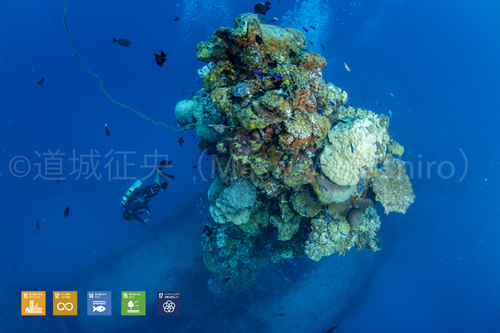 雲海丸のマスト