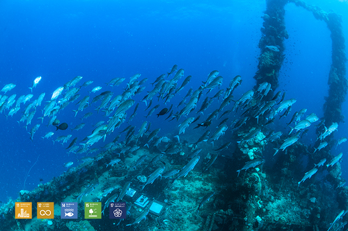 富士川丸とメモリアルレリーフ