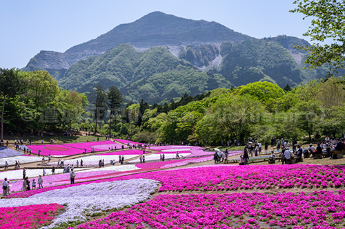 地球史を見に【2025/4/27】