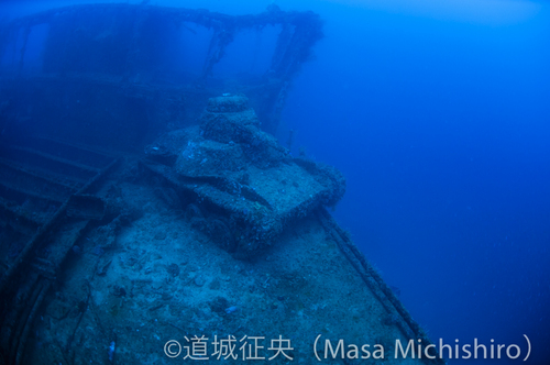 桑港丸という深場の沈没船