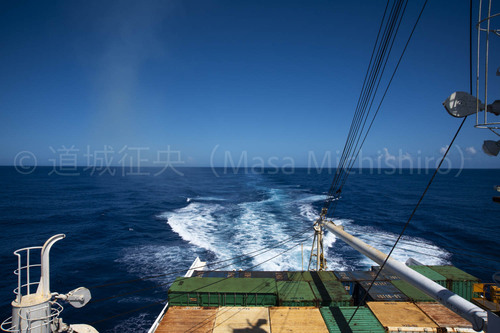 世界海洋デー【2022/6/9】